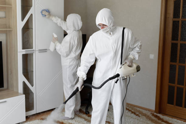 24/7 Emergency Odor Removal experts in Stamford, TX