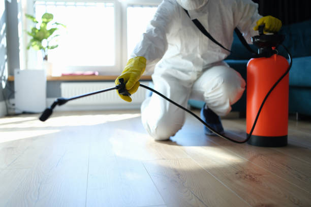 Reliable Odor Removal contractor in Stamford, TX by Trauma Clean Pros